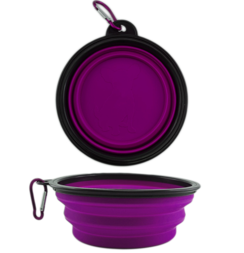 Purple Travel bowl for dogs